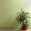 Стеклообои Бамбук Wellton Decor