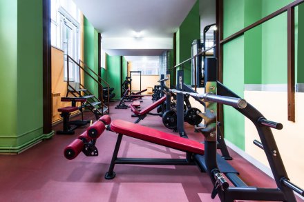 Спортивное покрытие Фитнес Спорт Эко 100